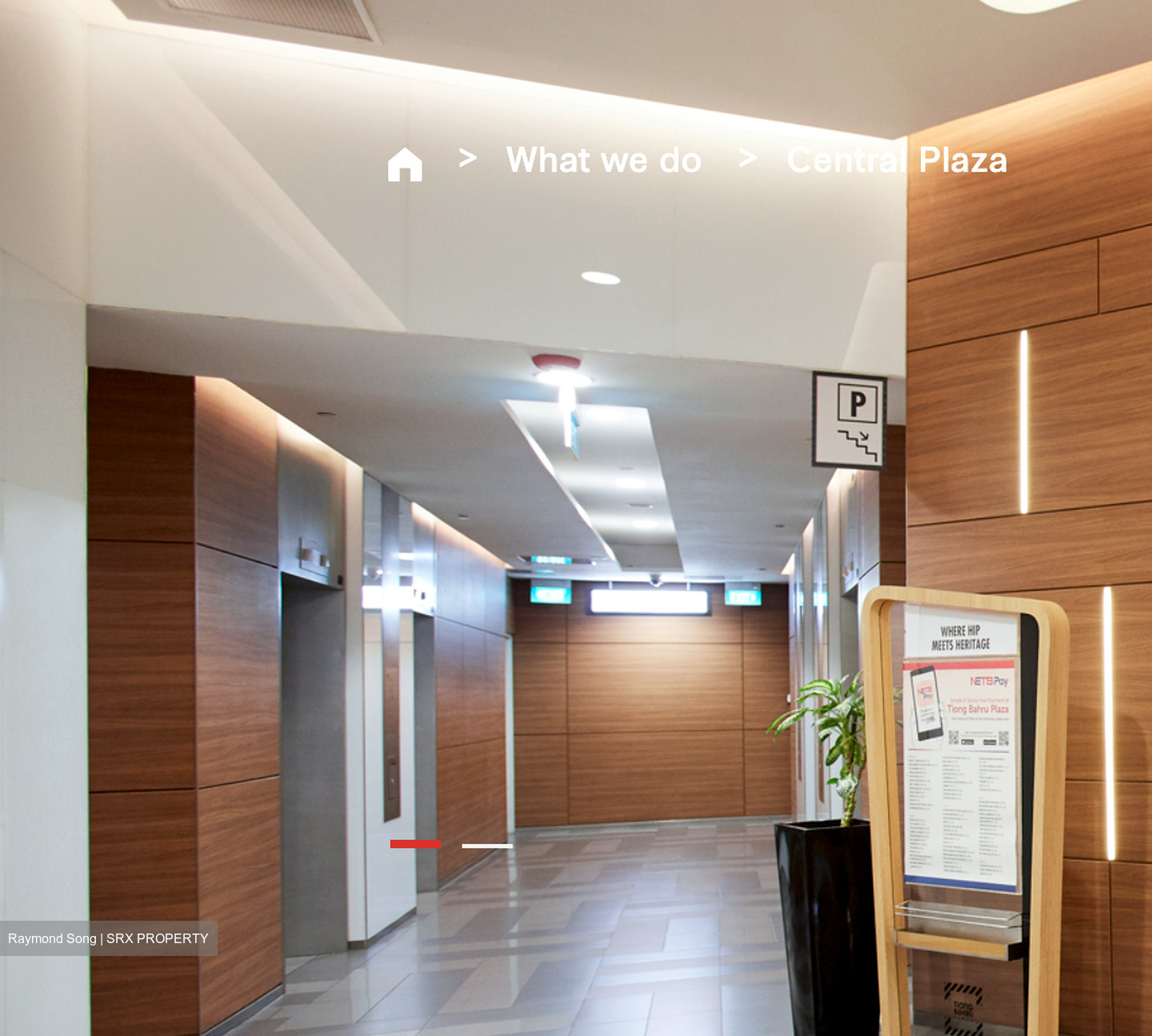Central Plaza (D3), Office #509895581